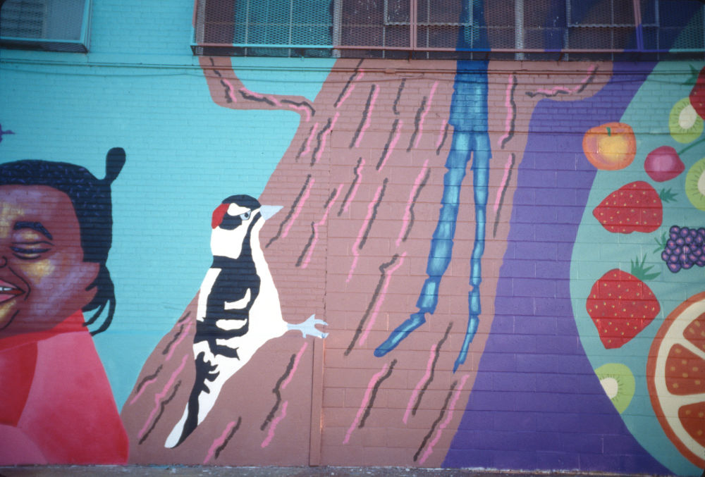 Snapple Mural: Detail Pictures: Slide 16 of 48