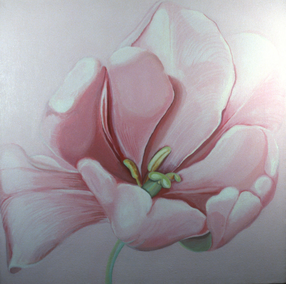 Pink, Pink Flower