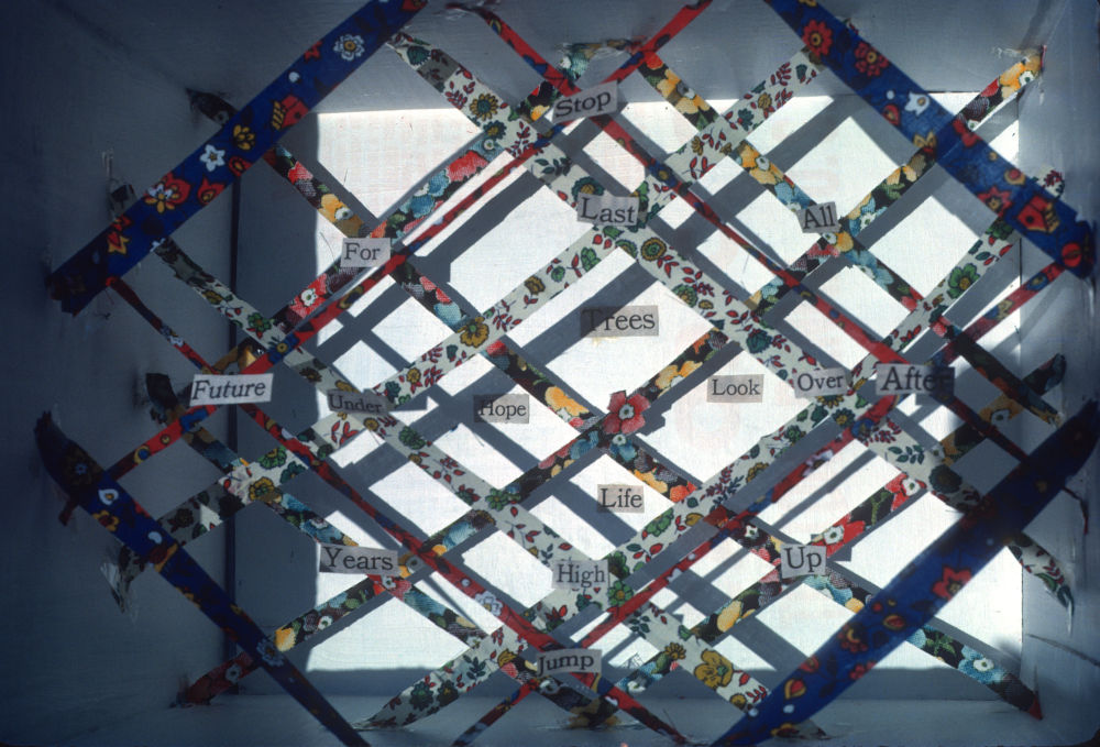 Model For Flowered Room Environment