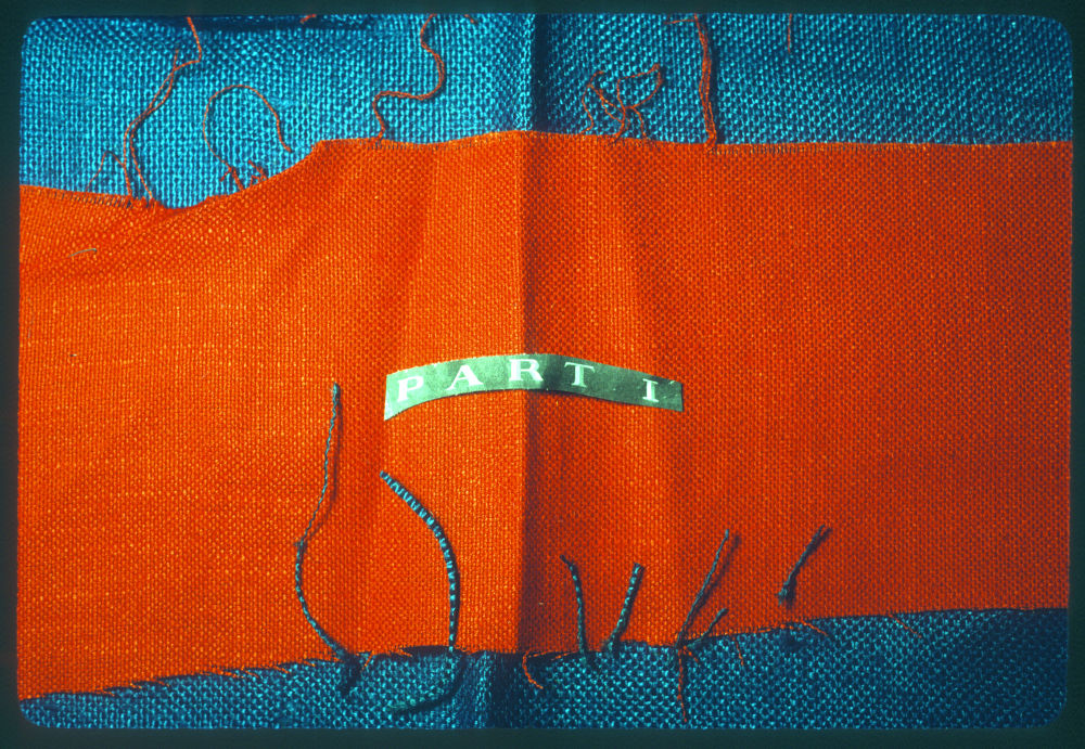 unnamed collage 1981