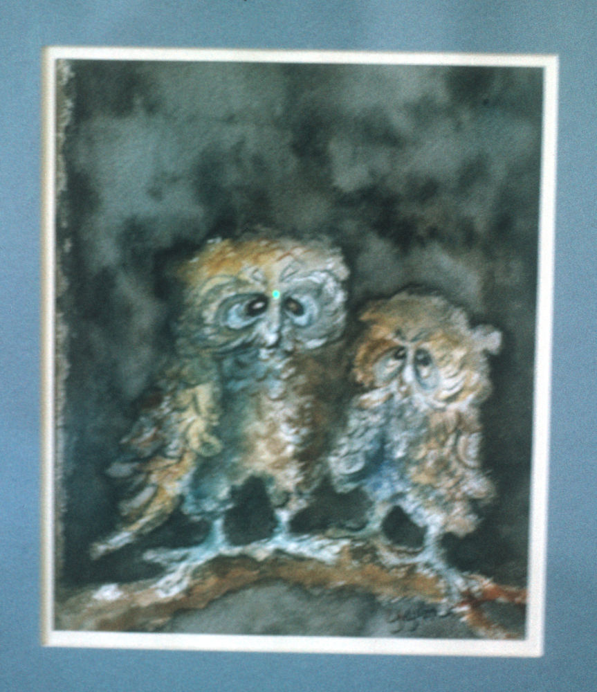 unnamed two owls